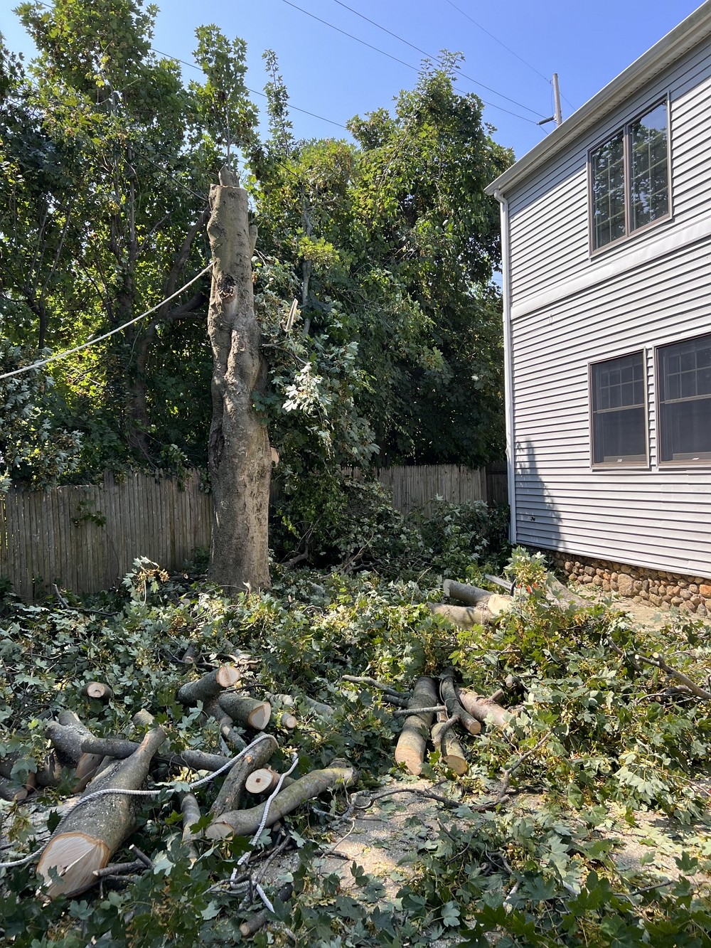 纽约艺美砍树公司：砍伐枯树，砍树刨根，园林围栏，清运树枝垃圾，清理水槽等 免费估价