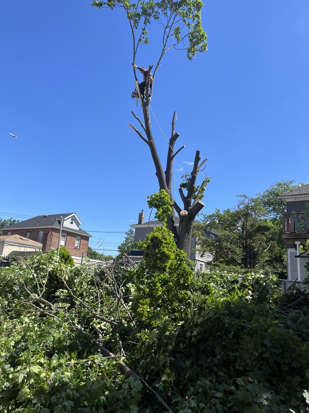 纽约砍树修枝 庭院改造找百安居江师傅 – 专业庭院维修，走道露台围栏，铺砖砌墙，外墙翻新