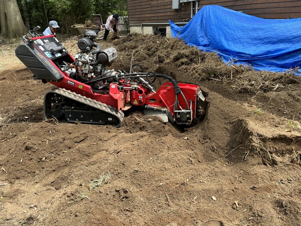 长岛砍树服务推荐纽约百安居公司 – 安全操作工程保险，砍伐枯树病树，刨除树根 庭院改造  免费估价