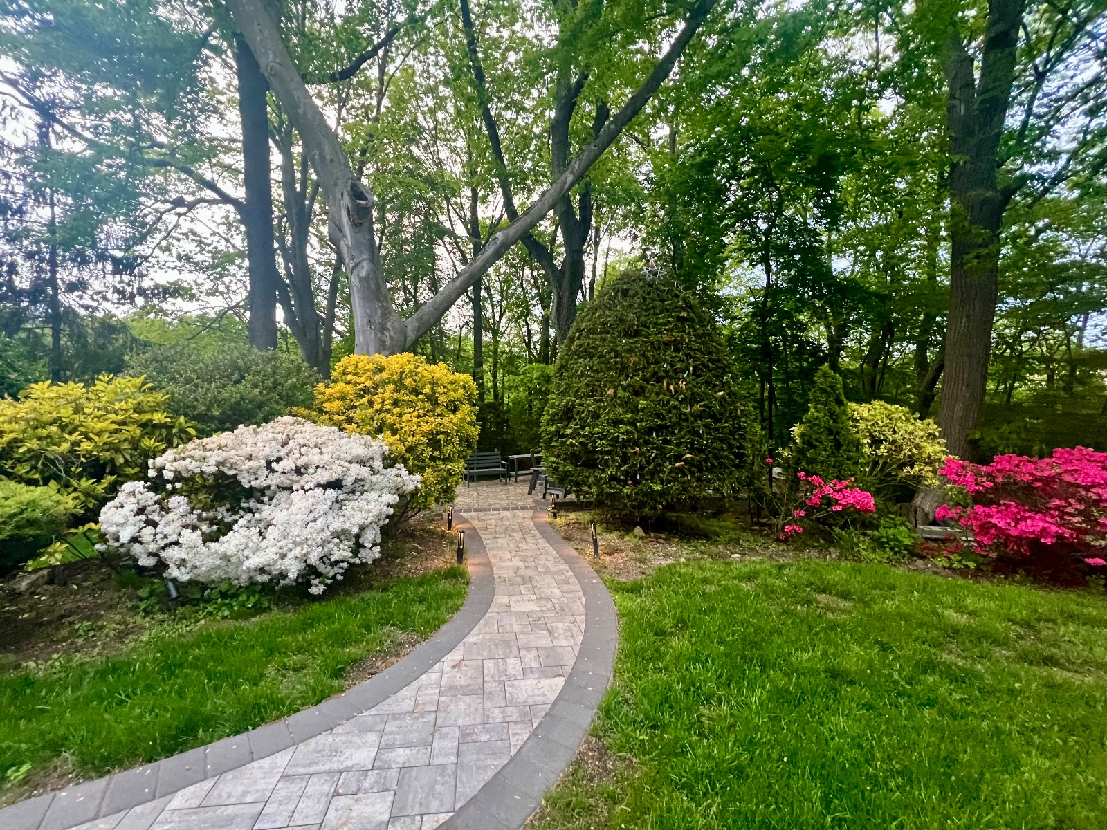 大颈33出口住家保姆/家庭助理招聘