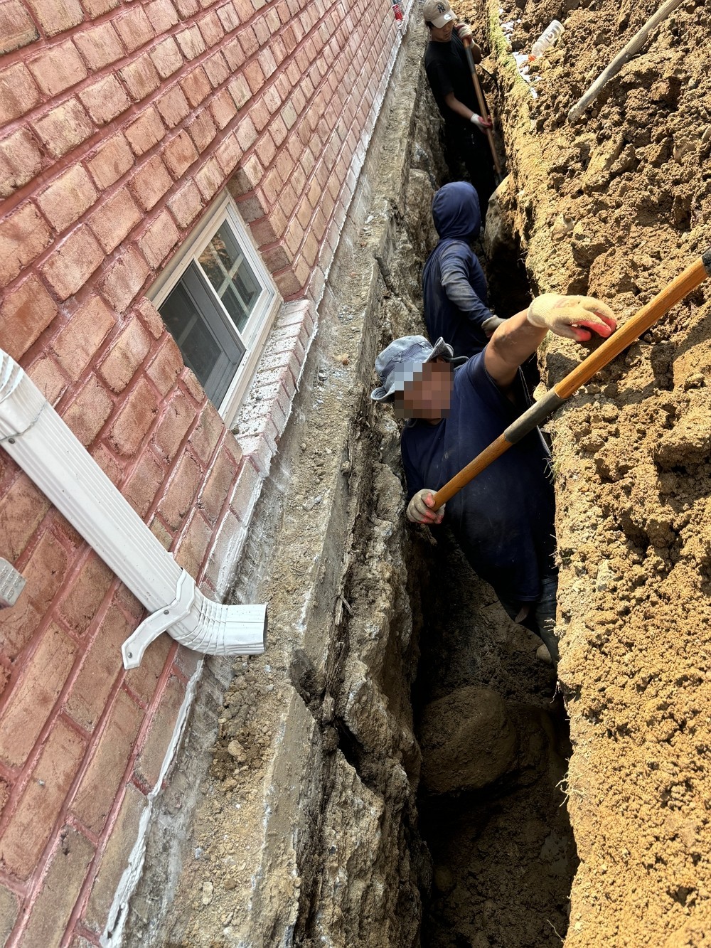 纽约雅饰园林公司-长岛树木管理-砍伐枯树病树，除危险树枝，移除树根 清运砍伐下的树枝 一条龙服务