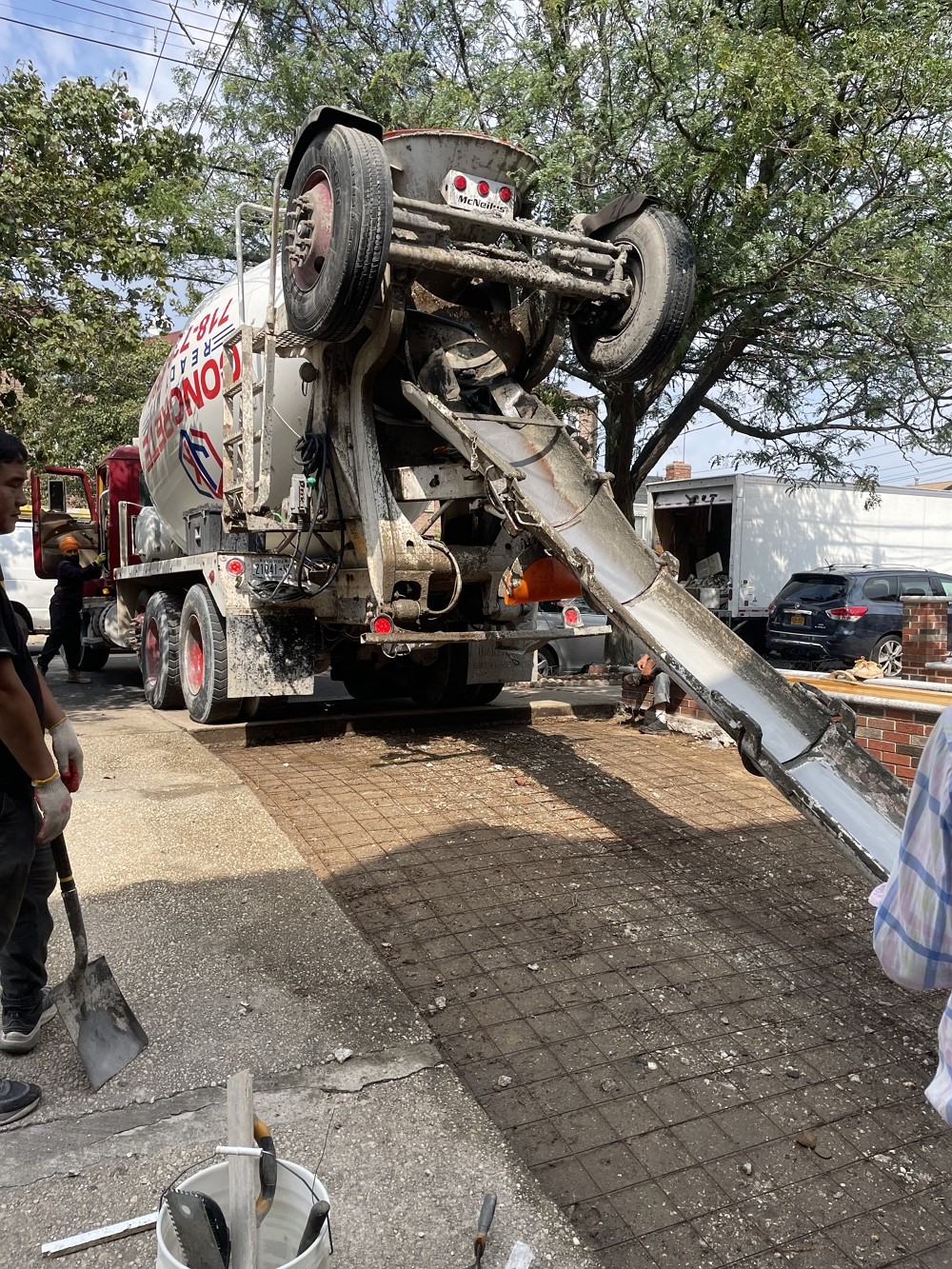 纽约雅饰砍树公司 – 专业树木管理-砍伐病树歪树，去除危险枯树，移除树根 一条龙服务