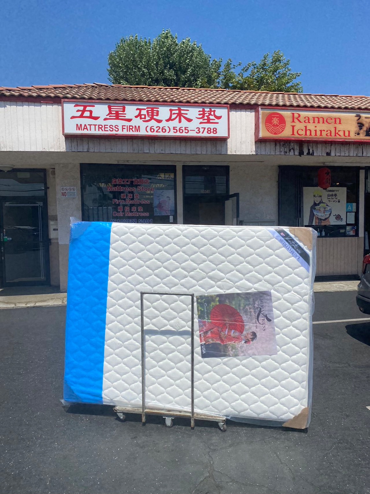 椰棕硬床垫不塌陷不腰痛，美国工厂直营