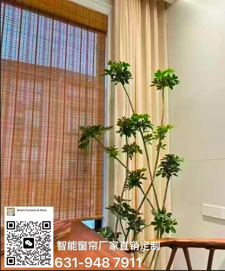 高品质窗帘 多种材质 尺寸定制和安装 Smart Curtains-高品质定制窗帘，工厂直供 · 价格更优