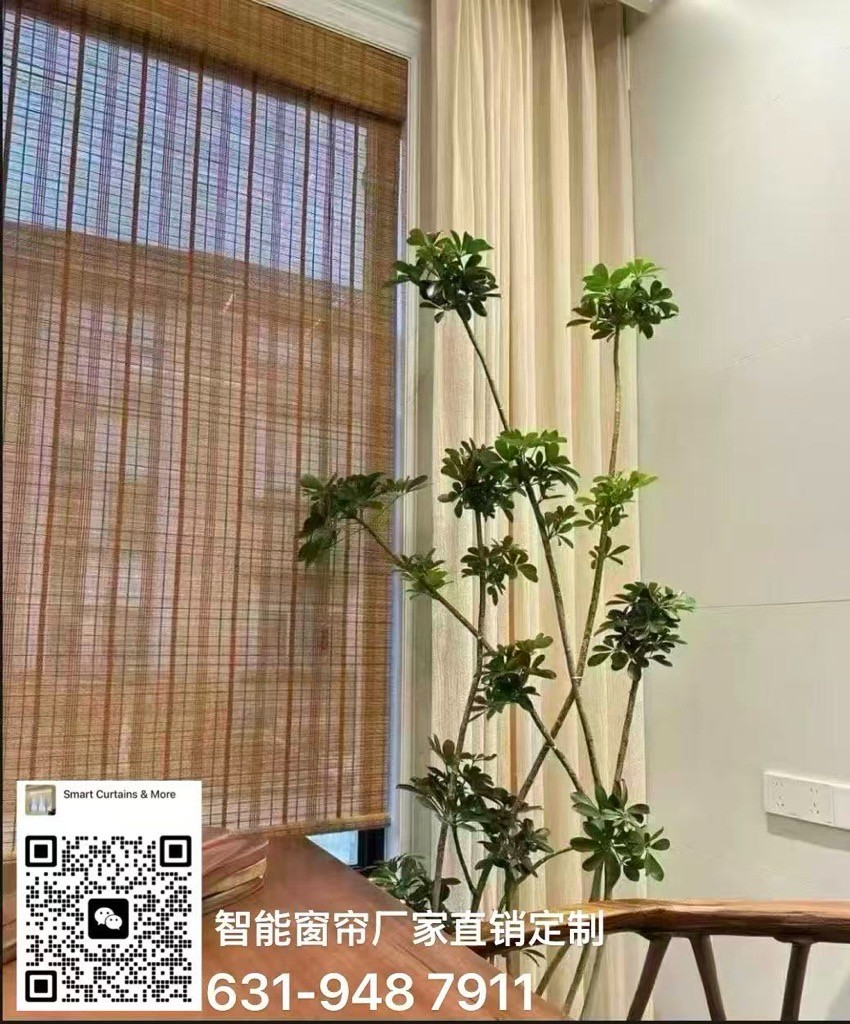 高品质智能窗帘定制 Smart Curtains多种样式选择 工厂直供 · 价格更优（同产品价格比 HomeDepot 更优惠)