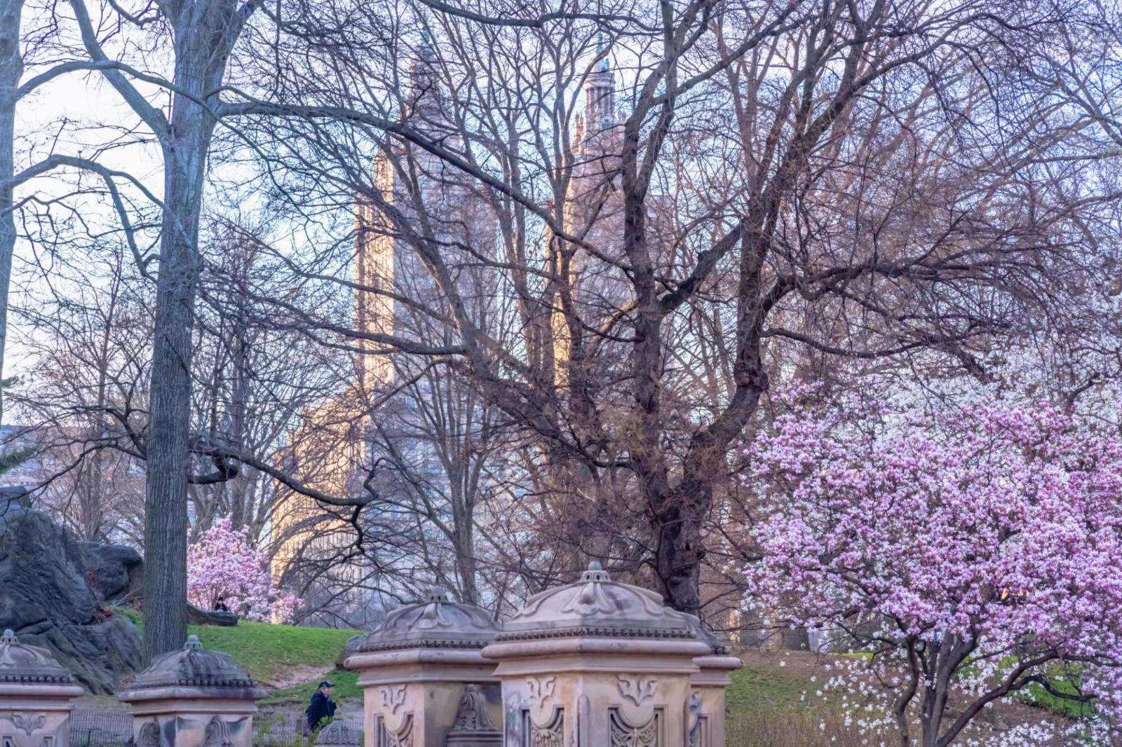 升温预警！纽约或打破高温纪录，“一秒入夏”真的来了