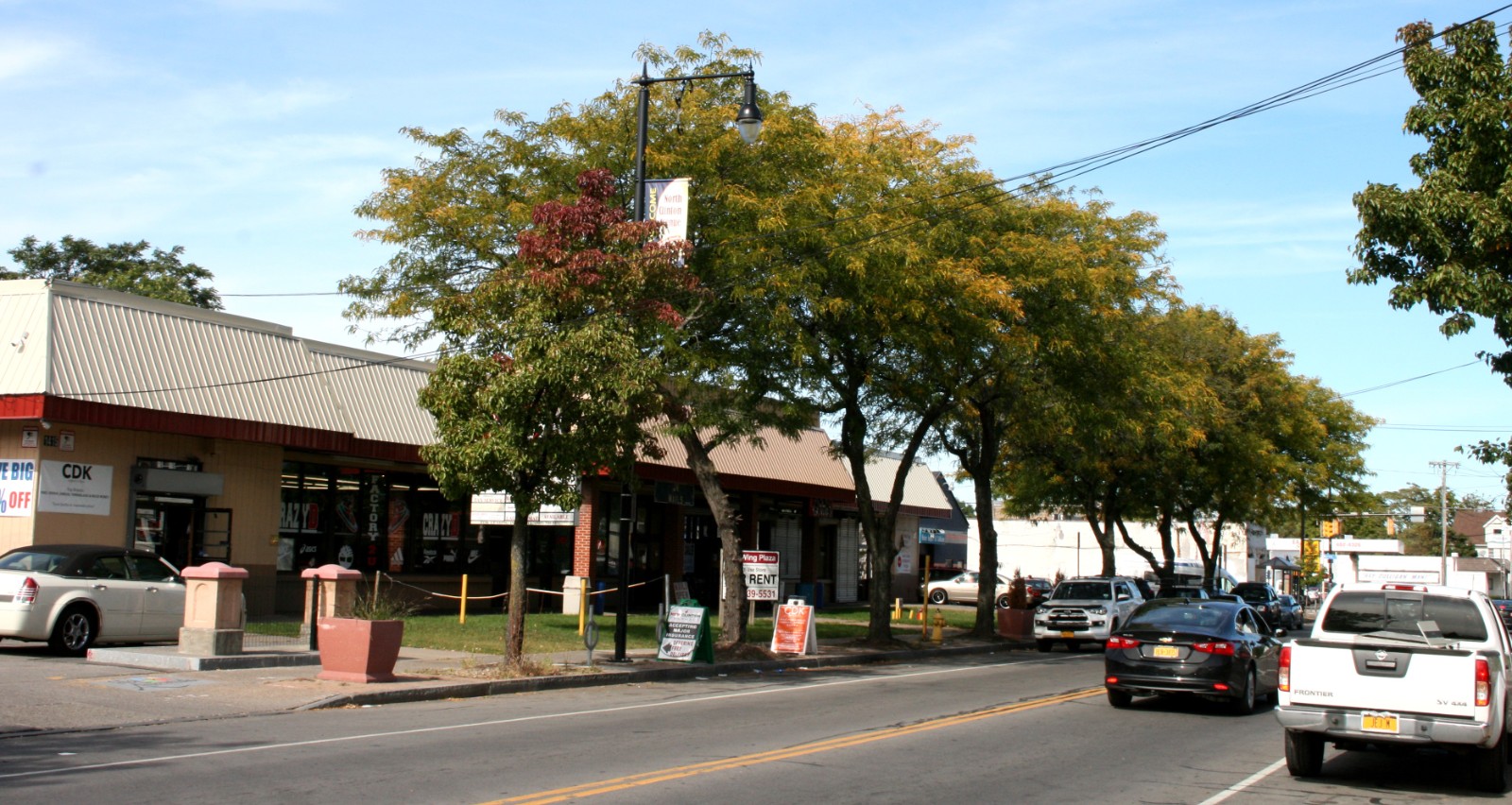 Rochester Shopping Plaza, 高额房租收入，难得的商业地产投资机会！Investment property for sale