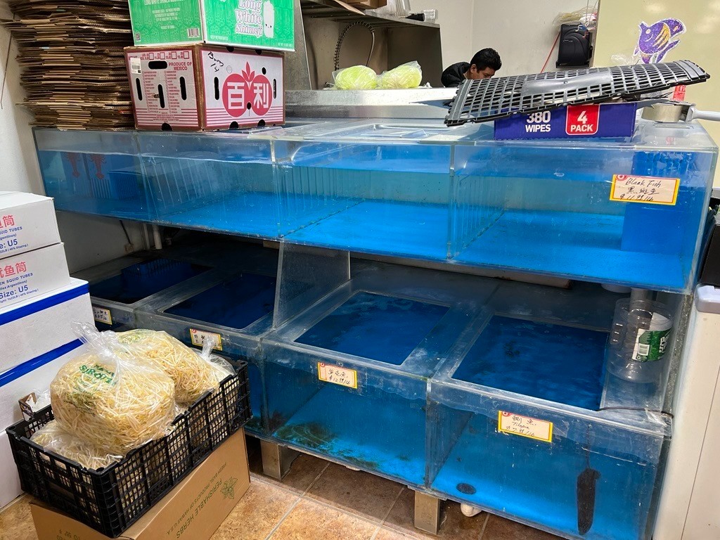 康州纽黑文市的华人超市转让，面积4000平方尺，月租金仅 $5000